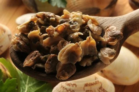 Close up of shelled clams in the spoon Stock Photos