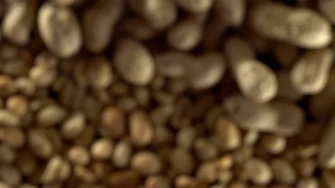 Close up of shelled peanuts rotating. Out of focus. Видео 70217343