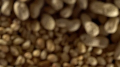 Close up of shelled peanuts rotating. Out of focus. Stock Footage 72581917