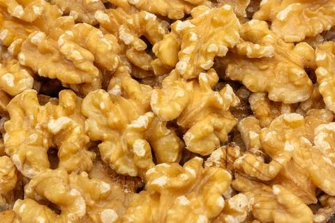 Close up of shelled walnuts Stock Photos