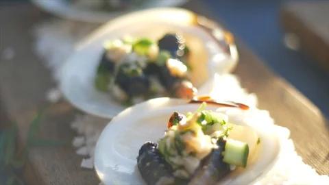 Close up of shellfish in sunlight Video stock 96312638
