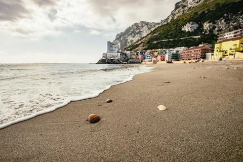 Close up on shells embedded into sand on beach Stock Photos
