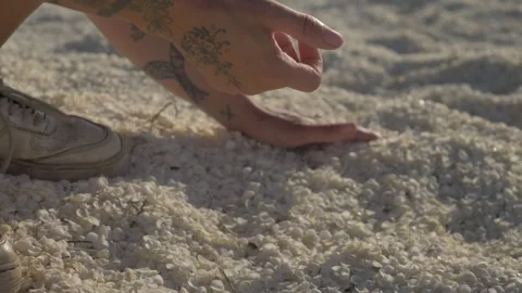 Close-Up of Shells at Shell Beach – Western Australia Stock Footage 316170858