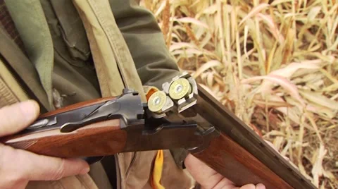 Close-up of shells in shotgun Stock Footage 54593676