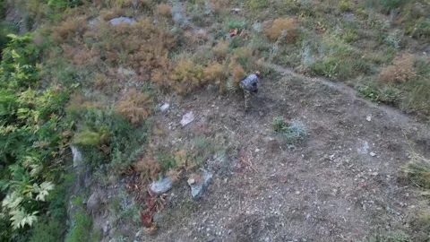 Close Shem ground cover of grasses, small plants, and dry soil on a mountain Stock Footage 343804306