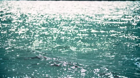 Close-up of shimmering light spots and rippling waves on the lake surface. Stock Footage 345577824