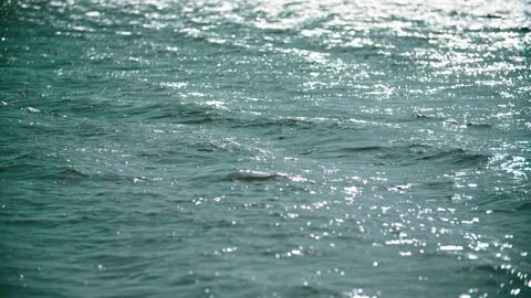 Close-up of the shimmering, rippling surface of the lake. Stock Footage 345589132