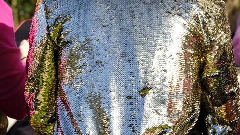 Close-up of shiny sequin jacket back worn by person at outdoor event on sunny Stock Photos