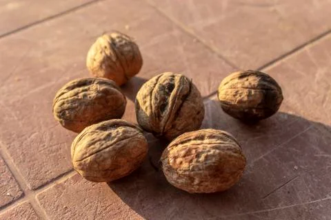 Close-up shoot of batch of walnuts on the table Stock Photos