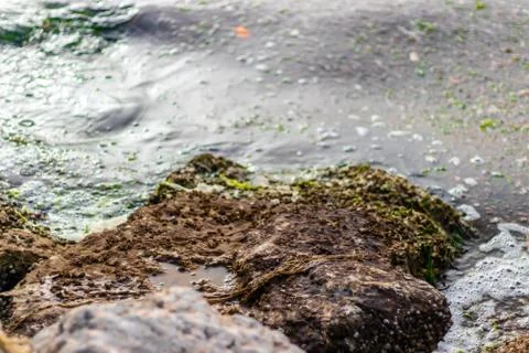 Close up shoot to big solid stones near sea with moss on it - at sea there is Stock Photos
