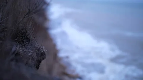 Close shoot of dried herbs on the edge of cliff in windy late autumn day Stock Footage 151700212