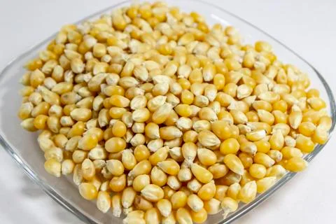 Close-up shoot of multiple corn seeds in the transparent reflective cup Stock Photos
