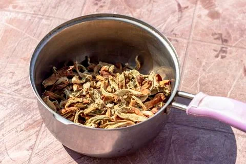 Close-up shoot of string beans dried under the sunlight Stock Photos