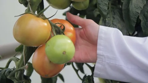 Close-up shooting hand Worker man doing Permanent complex Stock Footage 78555171