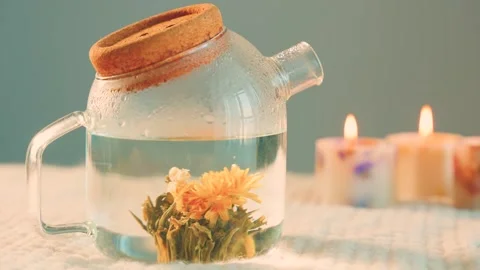 Close-up shooting process of brewing white blooming tea, beautiful yellow flower Stock Footage 311984695