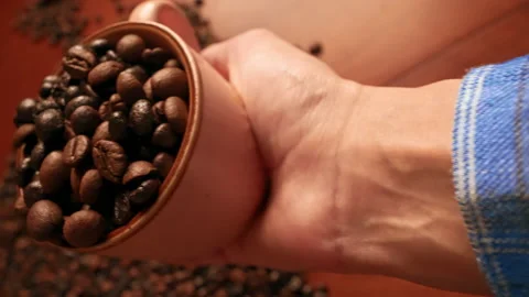 Close up shooting seed coffee Stock Footage 148131911