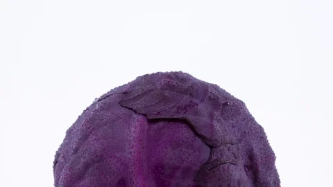 Close-up shooting of upper part of one whole mini purple cabbage with water 스톡 동영상 93840881