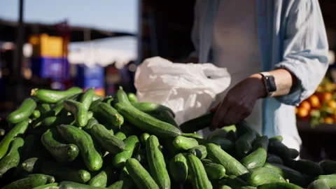 Close-up of shopper hands selecting fresh ripe cucumbers at sunny outdoor m.. Stock Footage 335454408