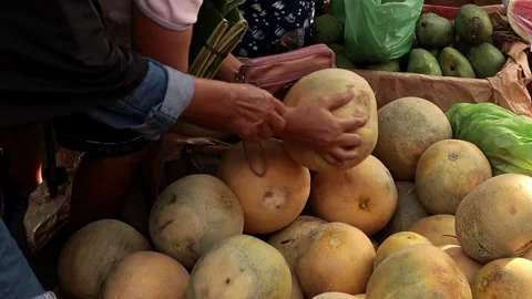  close-up of a shopper's hand picking melons Stock Footage 292906685