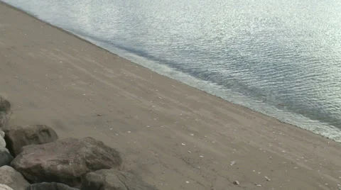 Close up of shoreline with dragonfly Video stock 32326942