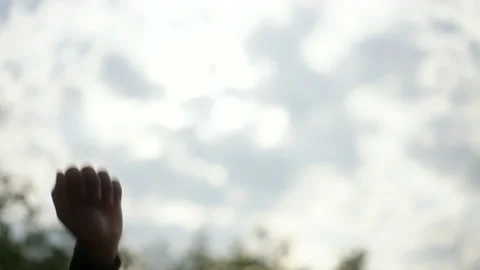 Close-up short of high five in green nature and sunlight background. Partnership Stock Footage 233239015