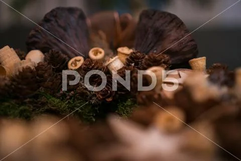 Close shot on an advent decoration with pine cones and moss Stock Photos