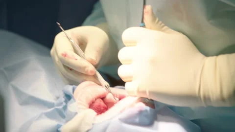 Close-up shot of attentive attentive doctors Stock Footage 236055019