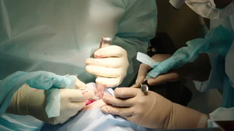 Close-up shot of attentive attentive doctors Stock Footage 236055877
