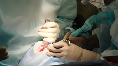 Close-up shot of attentive attentive doctors Stock Footage 236056126
