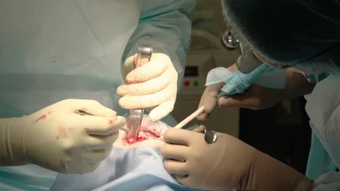 Close-up shot of attentive attentive doctors Stock Footage 236056182
