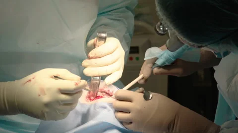 Close-up shot of attentive attentive doctors Stock Footage 236056212