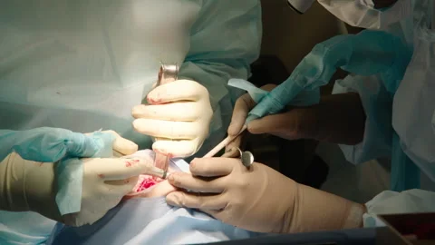 Close-up shot of attentive attentive doctors Stock Footage 236056368