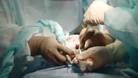 Close-up shot of attentive attentive doctors Stock Footage 236056533