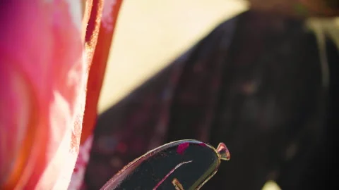Close up shot of a badly wounded man holding a broken electric guitar  Stock Footage 293113732