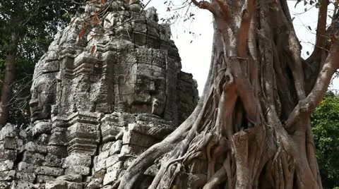 Close shot of Banyan Tree and Temple entry at Ta Som Video stock 12443935