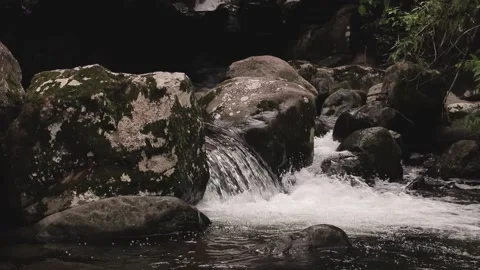Close up shot of a beautiful slow moving waters of small creek. Video stock 138716701