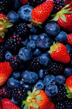 Close-up-shot-of-berries Stock Photos