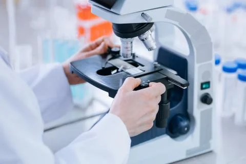 Close up shot of a biologist working with the microscope. Stock Photos
