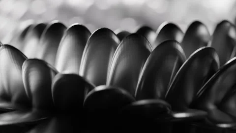 Close up shot of Black and White Snake Scales moving in a 3D animation Stock Footage 253588397