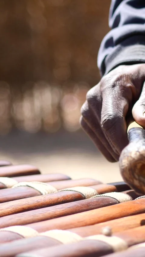 Close shot of black man playing Balafon instrument Stock Footage 230663258