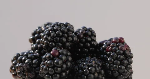 Close-up shot of blackberries. Stock Footage 135631062