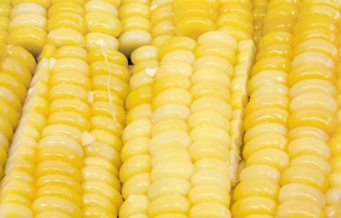 Close-up shot of boiled corn background texture Stock Photos