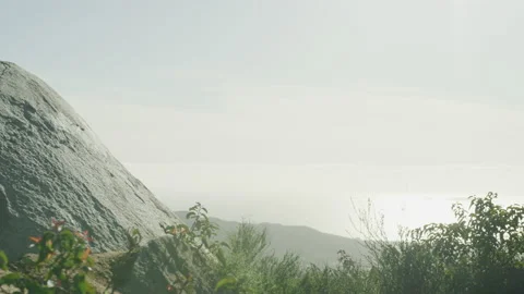 Close up shot of boulder and grass with white sky background Stock Footage 227638253