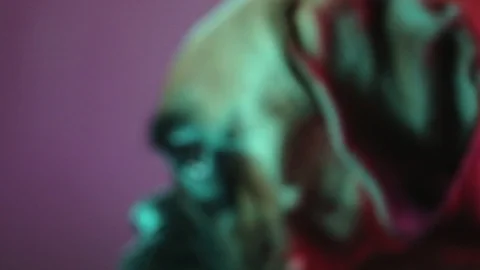Close up shot on boxer dog head in colourful light. Video stock 112612601
