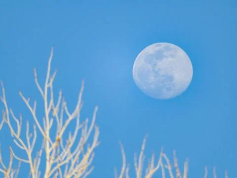Close up shot of a bright moon in daytime Stock Photos