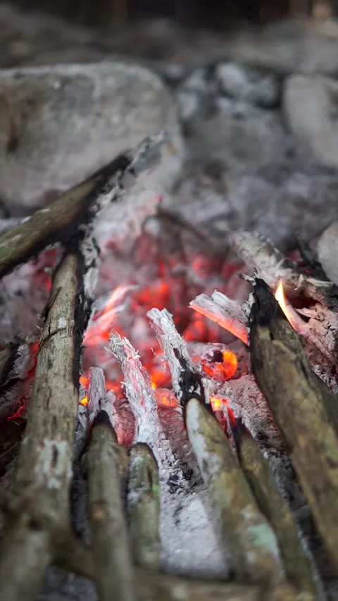 Close-up shot of bright orange flames burning traditional firewood inside Stock Footage 337374294