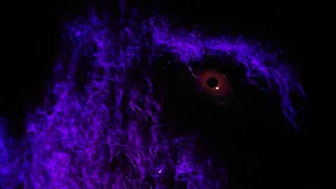 Close-up shot of a bright red eye on a dinosaur model on display Stock Footage 236446741