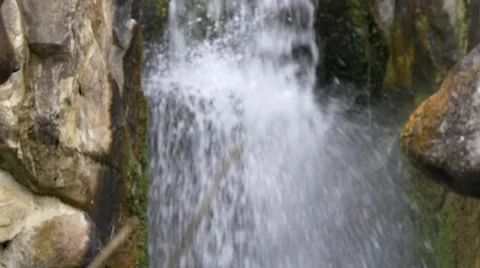 Close-up shot of brown bear (Ursus arctos) passing in front of small waterfall Stock Footage 43812769