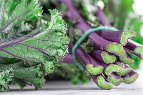 Close up shot of Bundle of fresh green Kale Salad Leaves and Stems in a Local Stock Photos
