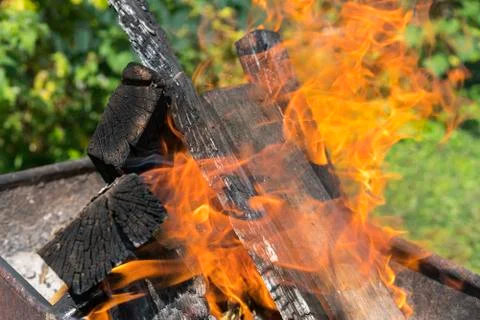 Close up shot of burning. Blurred background. Cooking coals for cooking barbe Stock Photos